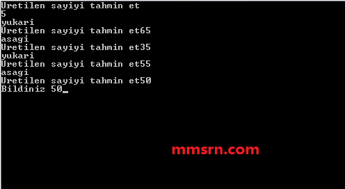 c sayı tahmin etme oyunu