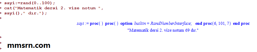 maple çalışma 4