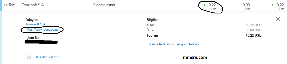 popads ödeme kanıtı 1
