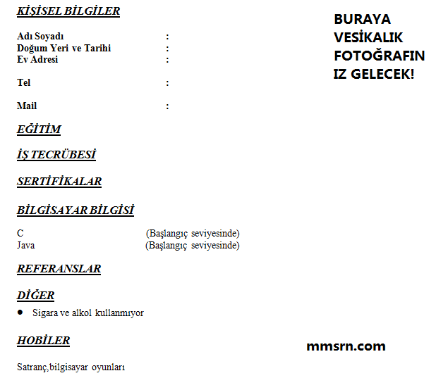 CV nasıl hazırlanır 1