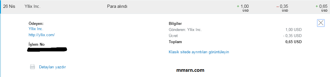 yllix ödeme kanıtı 3