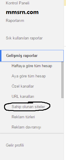 adsense tbm değeri 2