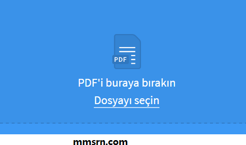 pdf yi worde dönüştürmek 2