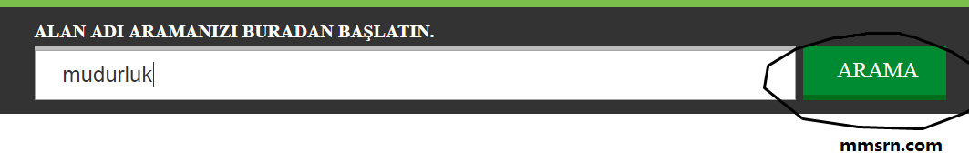 godaddy-2-tl-domain-alma-yontemi-2