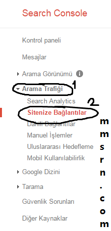 google-manuel-spam-kaldirma-1