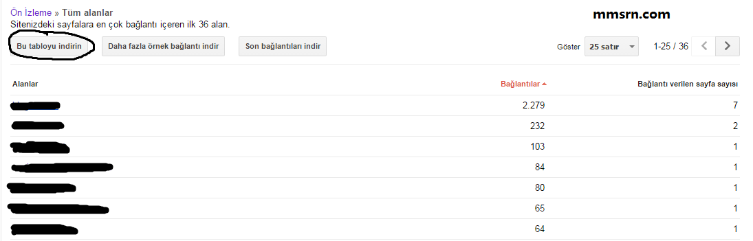 google-manuel-spam-kaldirma-2