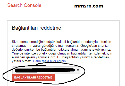 google-manuel-spam-kaldirma-3