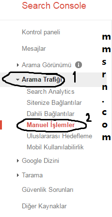 google-manuel-spam-kaldirma-6