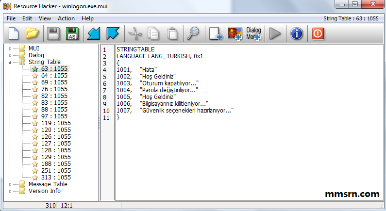 winlogon-dosyasi-3