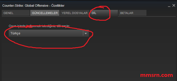 steam-uzerindeki-oyunlari-turkce-yapmak-3
