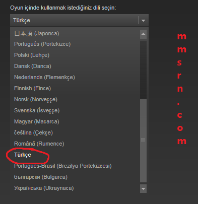 steam-uzerindeki-oyunlari-turkce-yapmak-4