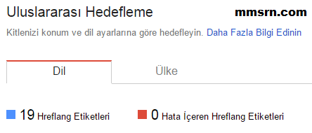 hreflang-etiketleri-1